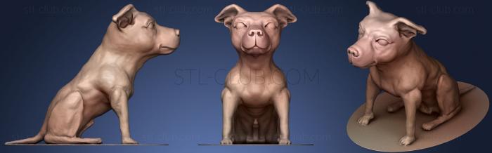 3D модель Dog3print3 (STL)